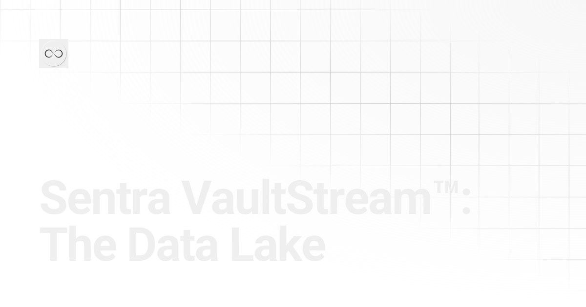 Sentra VaultStream™: The Data Lake | Sentra Protocol Docs